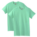 Gildan Adult Heavy Cotton T-Shirt, Style G5000